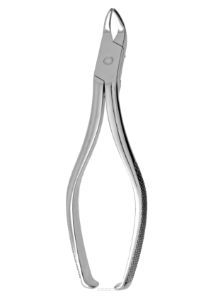 Kleszcze Meisnera 